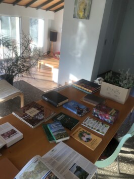 Guen Seli Studio